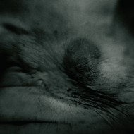 Transgression, Magda Hueckel, Obsessive Self-portrait, FF2011