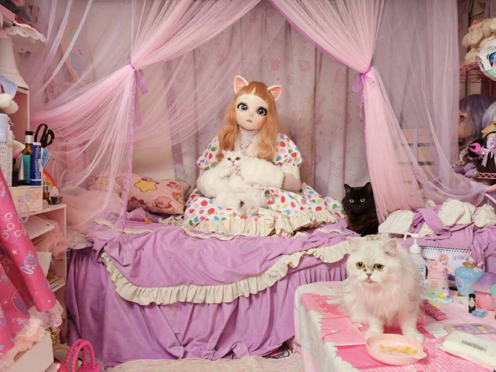 Mashina oynasidan sikish